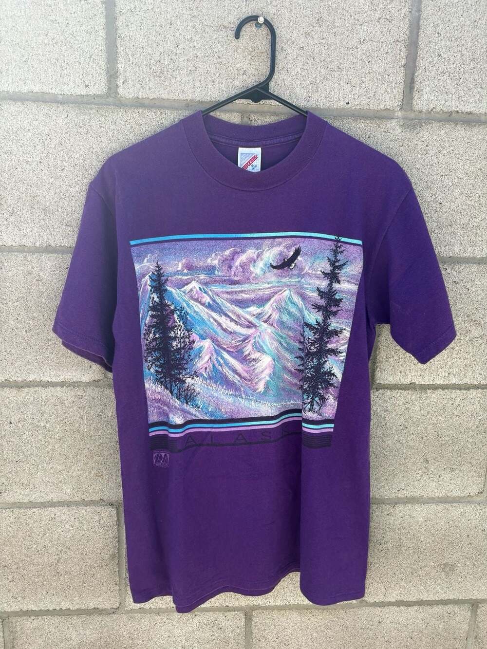 Vintage 90s Jerzees Alaska Mountain Eagle Graphic Purple T-Shirt
